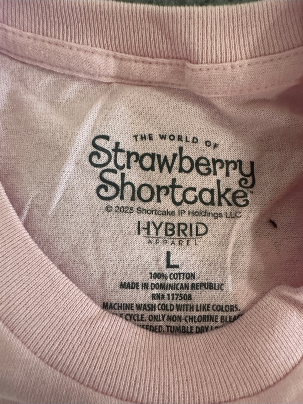 Strawberry Shortcake Shirt Women’s Size Large - Picture 5 of 6